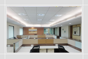Apollo Logisolution Ltd.